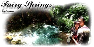 Fairy Springs - Te Puna O Tuhoe - Traditional Maori Wedding Venue