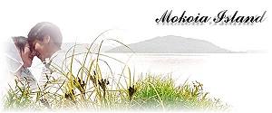 Mokoia Island - Rotorua